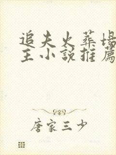 追夫火葬场双男主小说推荐