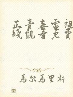 正青春电视剧在线观看免费全集