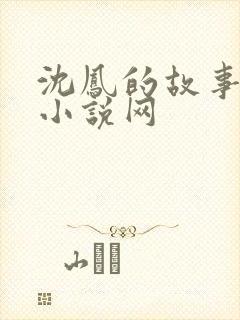 沈凤的故事女主小说网