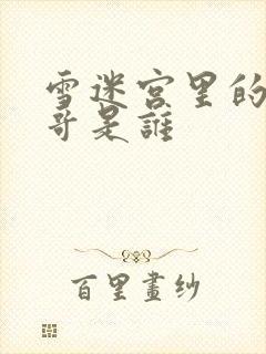 雪迷宫里的小马哥是谁封面