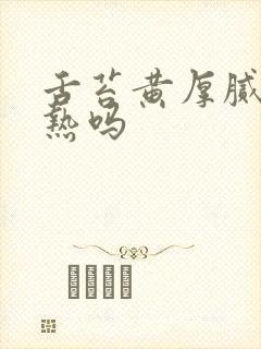 舌苔黄厚腻是湿热吗