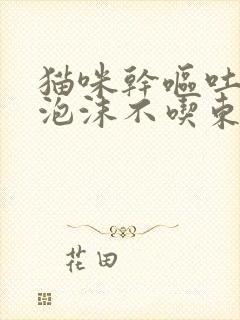 猫咪干呕吐白色泡沫不吃东西