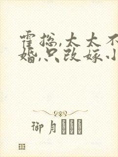 霍总,太太不复婚,只改嫁小说在线阅读