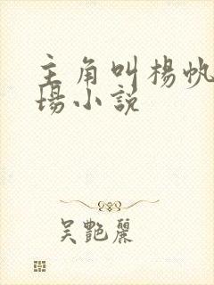 主角叫杨帆的官场小说