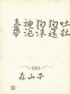 泰迪狗狗吐黄水带泡沫还拉稀