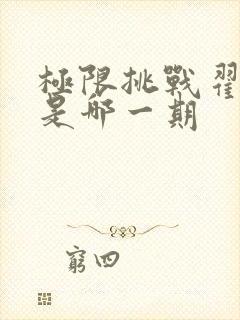 极限挑战翟潇闻是哪一期