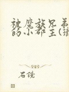 被魔族兄弟囚禁的小郡主(珑公子)