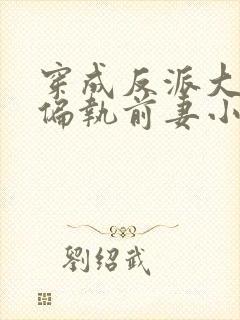 穿成反派大佬的偏执前妻小说