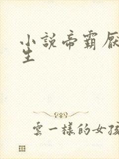 小说帝霸厌笔萧生