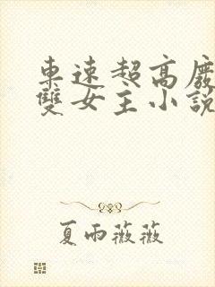 车速超高废文的双女主小说封面