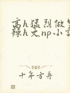 高h猛烈做哭高辣h文np小说