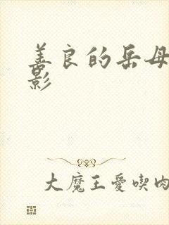 善良的岳母2电影