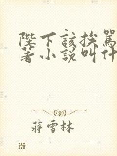 陛下该挨骂了原著小说叫什么名字