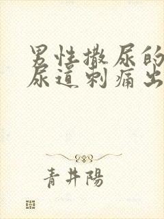 男性撒尿的时候尿道刺痛出血怎么回事封面