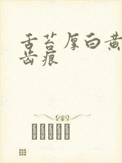 舌苔厚白黄腻有齿痕