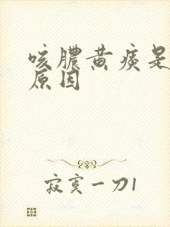 咳脓黄痰是什么原因