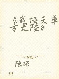 《武极天尊3魔方大陆》