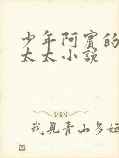 少年阿宾的房东太太小说封面