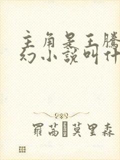 主角是王腾的玄幻小说叫什么封面