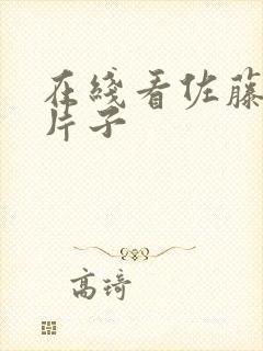 在线看佐藤美纪片子