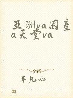 亚洲va国产va天堂va
