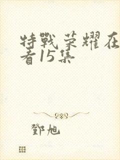 特战荣耀在线观看15集