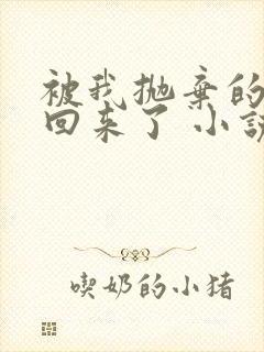 被我抛弃的前夫回来了 小说封面