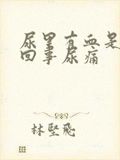 尿里有血是怎么回事尿痛