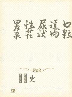 男性尿道口长出菜花状肉粒封面