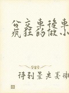 公交车后车座的疯狂的做小