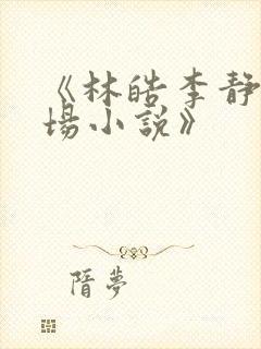 《林皓李静怡官场小说》