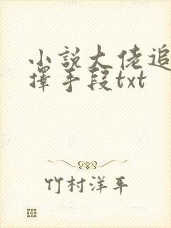小说大佬追妻不择手段txt