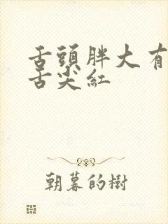 舌头胖大有齿痕舌尖红封面