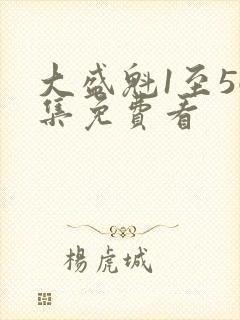 大盛魁1至56集免费看封面