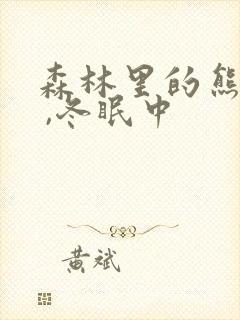 森林里的熊先生 ,冬眠中