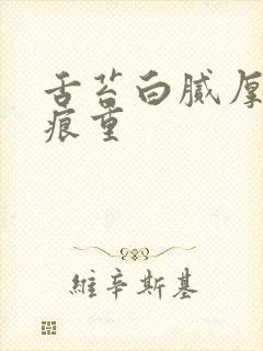 舌苔白腻厚 齿痕重