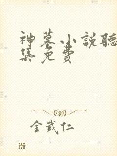 神墓小说听书全集免费