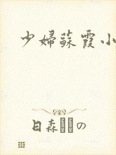 少妇苏霞小说封面