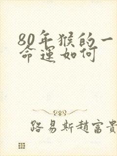 80年猴的一生命运如何