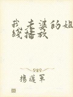 我老婆的姐姐在线播放