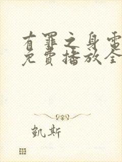 有罪之身电视剧免费播放全集