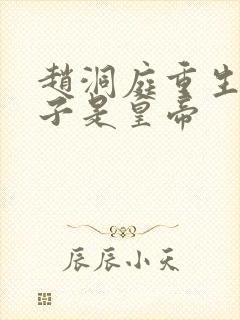 赵洞庭重生之老子是皇帝