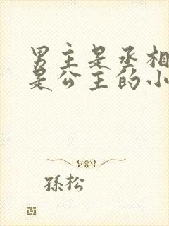 男主是丞相女主是公主的小说封面