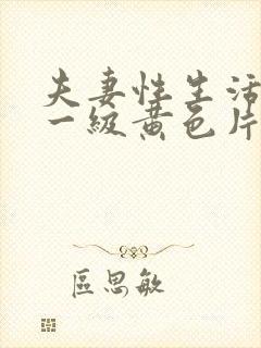 夫妻性生活中国一级黄色片子