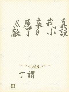 《原来我真的无敌了》小说