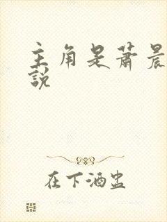 主角是萧晨的小说