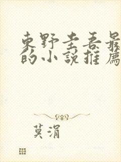 东野圭吾最好看的小说推荐