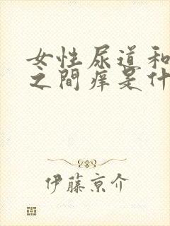 女性尿道和肛门之间痒是什么原因