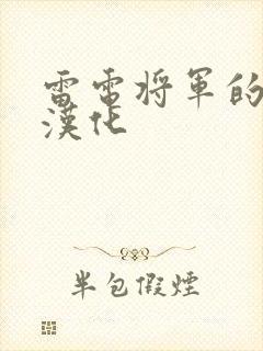 雷电将军的惩罚汉化