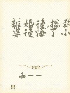 离婚后,总裁老婆后悔了小说完整版